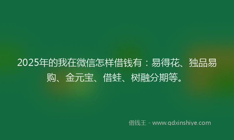 2025年的我在微信怎样借钱有：易得花、独品易购、金元宝、借蛙、树融分期等。