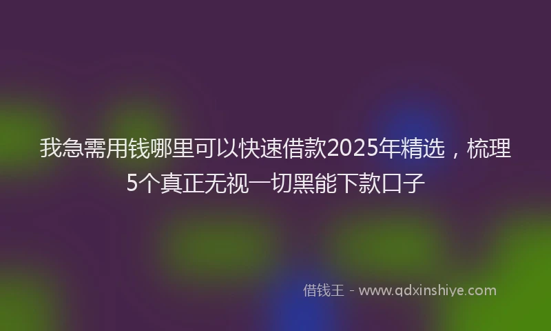我急需用钱哪里可以快速借款2025年精选，梳理5个真正无视一切黑能下款口子
