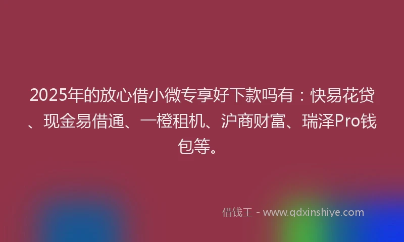2025年的放心借小微专享好下款吗有：快易花贷、现金易借通、一橙租机、沪商财富、瑞泽Pro钱包等。