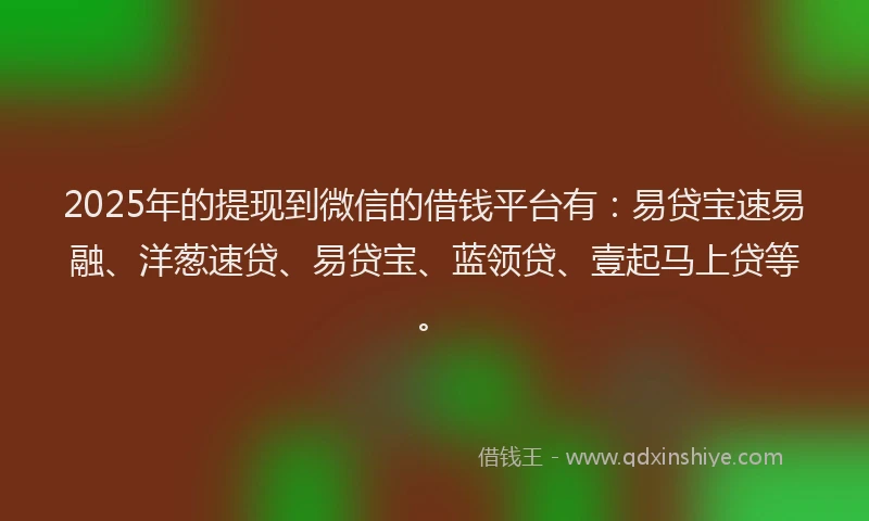 2025年的提现到微信的借钱平台有：易贷宝速易融、洋葱速贷、易贷宝、蓝领贷、壹起马上贷等。