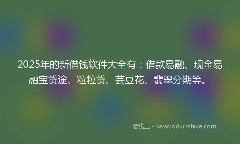 2025年的新借钱软件大全有：借款易融、现金易融宝贷途、粒粒贷、芸豆花、翡翠分期等。