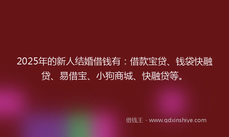 2025年的新人结婚借钱有：借款宝贷、钱袋快融贷、易借宝、小狗商城、快融贷等。