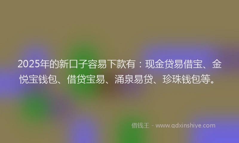 2025年的新口子容易下款有：现金贷易借宝、金悦宝钱包、借贷宝易、涌泉易贷、珍珠钱包等。