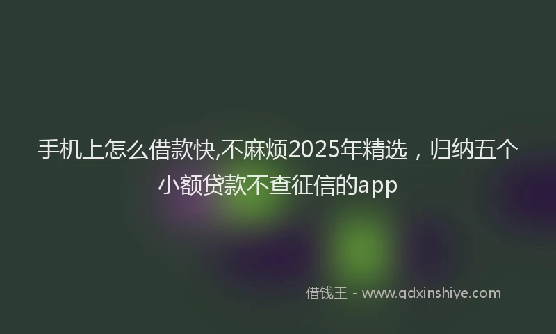 手机上怎么借款快,不麻烦2025年精选，归纳五个小额贷款不查征信的app