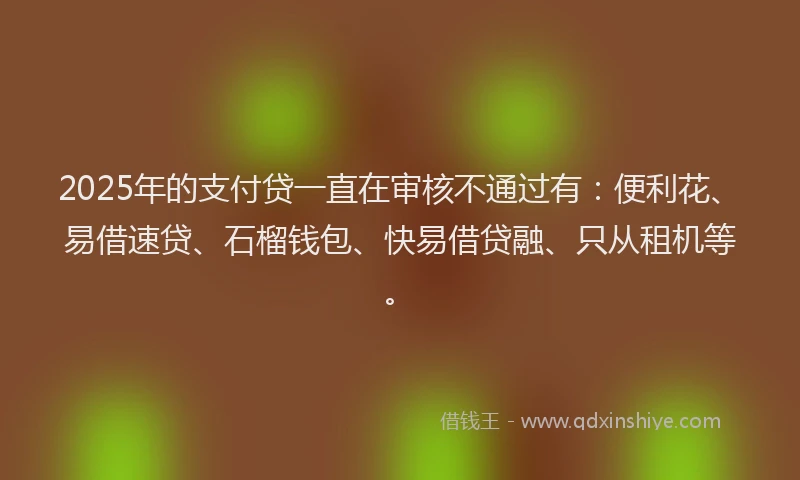 2025年的支付贷一直在审核不通过有：便利花、易借速贷、石榴钱包、快易借贷融、只从租机等。