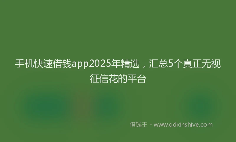 手机快速借钱app2025年精选，汇总5个真正无视征信花的平台