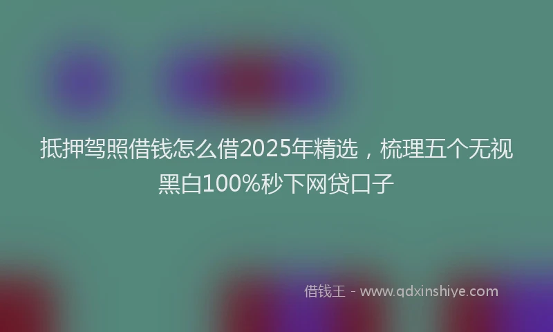 抵押驾照借钱怎么借2025年精选，梳理五个无视黑白100%秒下网贷口子