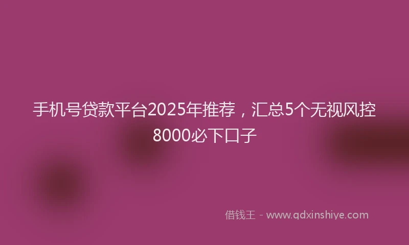 手机号贷款平台2025年推荐，汇总5个无视风控8000必下口子