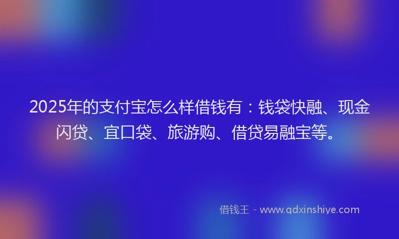 2025年的支付宝怎么样借钱有：钱袋快融、现金闪贷、宜口袋、旅游购、借贷易融宝等。