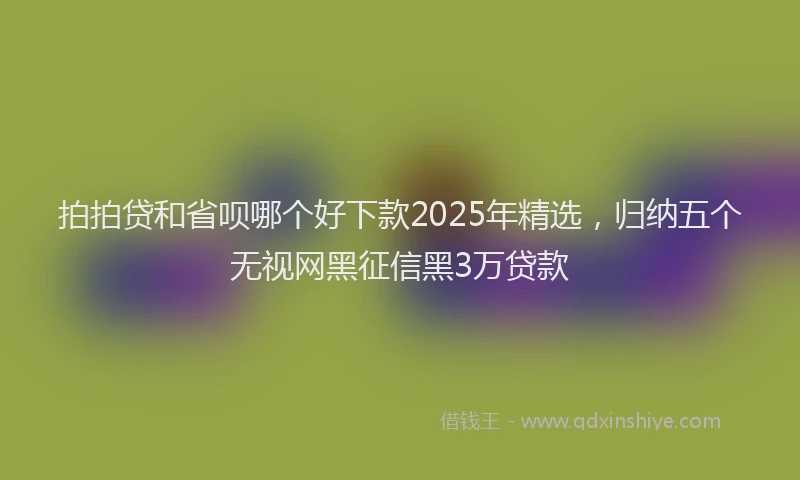 拍拍贷和省呗哪个好下款2025年精选，归纳五个无视网黑征信黑3万贷款