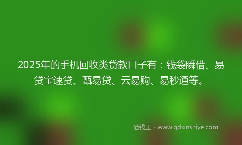 2025年的手机回收类贷款口子有：钱袋瞬借、易贷宝速贷、甄易贷、云易购、易秒通等。