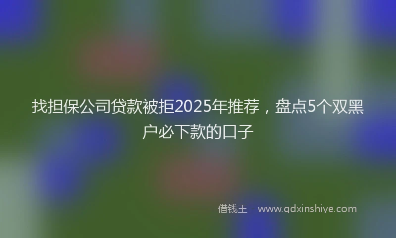 找担保公司贷款被拒2025年推荐，盘点5个双黑户必下款的口子