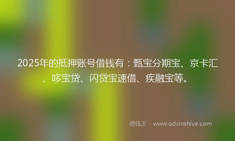 2025年的抵押账号借钱有：甄宝分期宝、京卡汇、哆宝贷、闪贷宝速借、疾融宝等。
