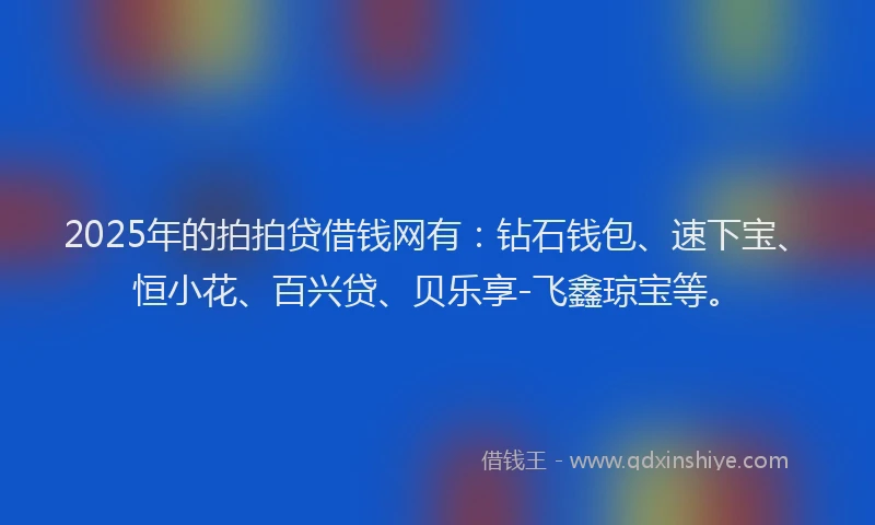 2025年的拍拍贷借钱网有：钻石钱包、速下宝、恒小花、百兴贷、贝乐享-飞鑫琼宝等。
