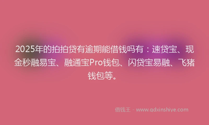 2025年的拍拍贷有逾期能借钱吗有：速贷宝、现金秒融易宝、融通宝Pro钱包、闪贷宝易融、飞猪钱包等。