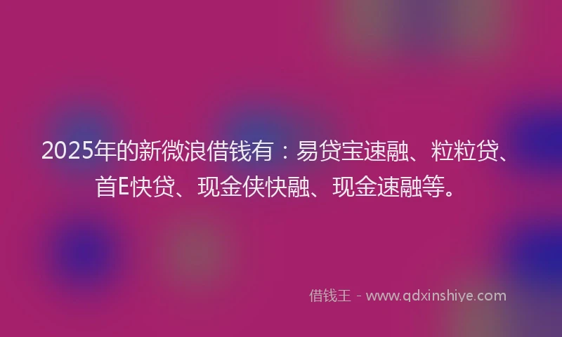 2025年的新微浪借钱有：易贷宝速融、粒粒贷、首E快贷、现金侠快融、现金速融等。