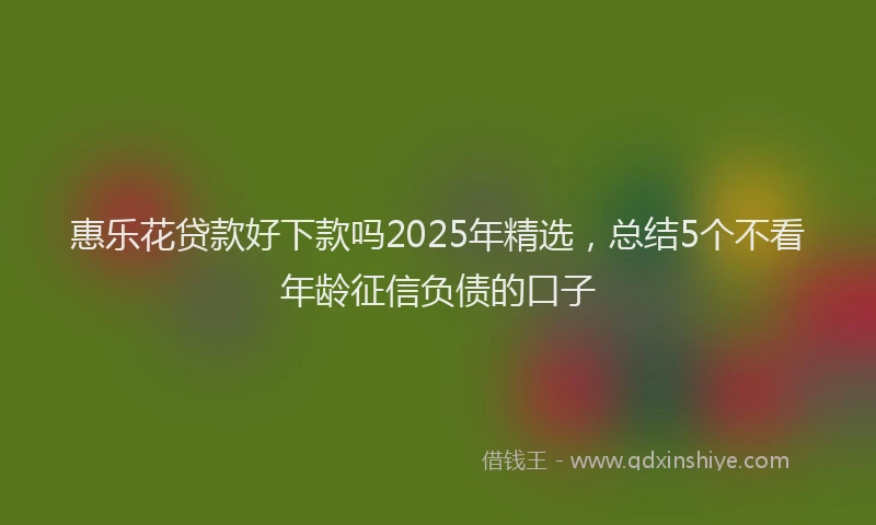 惠乐花贷款好下款吗2025年精选，总结5个不看年龄征信负债的口子