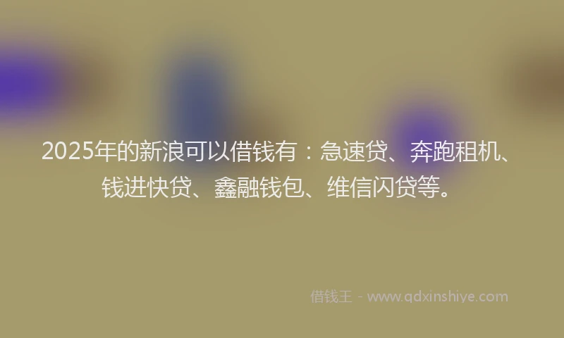 2025年的新浪可以借钱有：急速贷、奔跑租机、钱进快贷、鑫融钱包、维信闪贷等。
