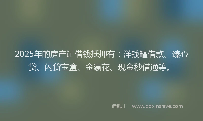 2025年的房产证借钱抵押有：洋钱罐借款、臻心贷、闪贷宝盒、金瀛花、现金秒借通等。