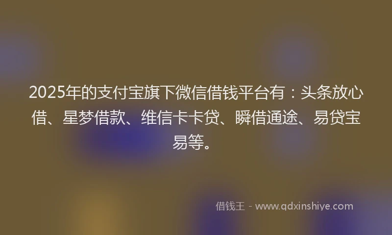 2025年的支付宝旗下微信借钱平台有：头条放心借、星梦借款、维信卡卡贷、瞬借通途、易贷宝易等。