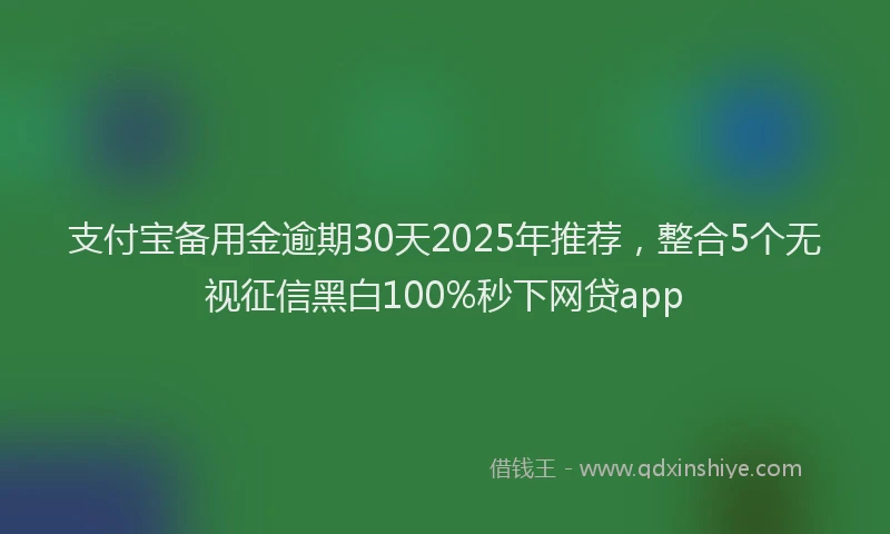 支付宝备用金逾期30天2025年推荐，整合5个无视征信黑白100%秒下网贷app
