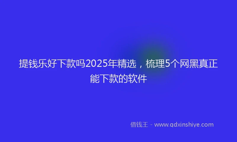 提钱乐好下款吗2025年精选，梳理5个网黑真正能下款的软件