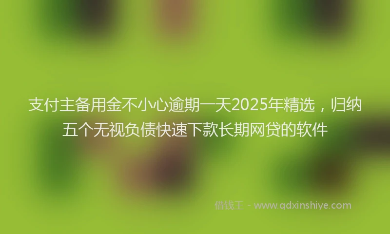支付主备用金不小心逾期一天2025年精选，归纳五个无视负债快速下款长期网贷的软件