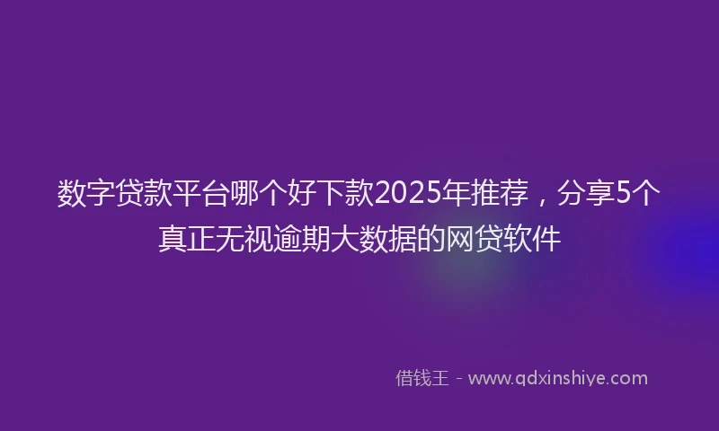 数字贷款平台哪个好下款2025年推荐，分享5个真正无视逾期大数据的网贷软件