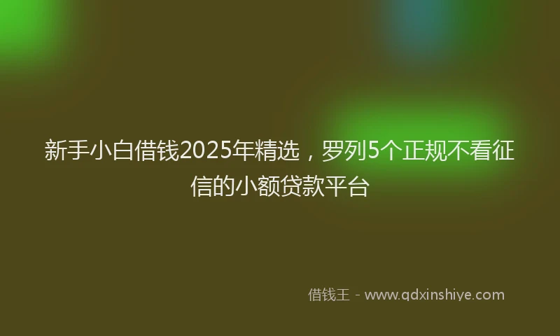 新手小白借钱2025年精选，罗列5个正规不看征信的小额贷款平台