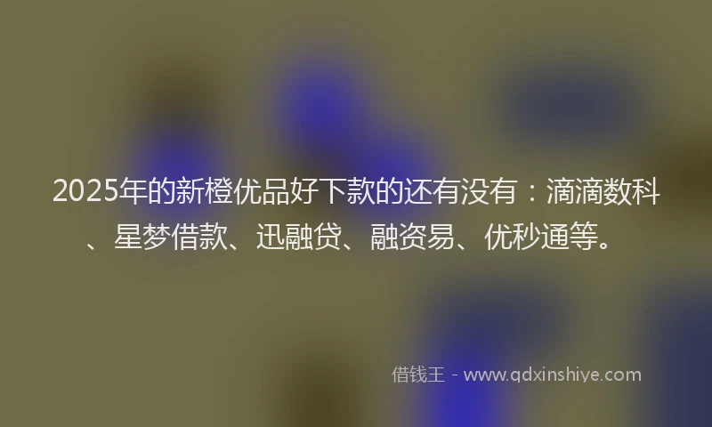 2025年的新橙优品好下款的还有没有：滴滴数科、星梦借款、迅融贷、融资易、优秒通等。