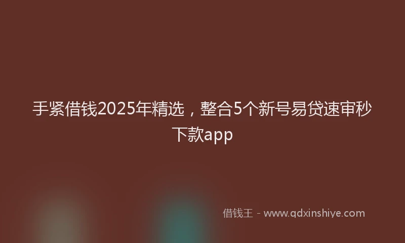 手紧借钱2025年精选，整合5个新号易贷速审秒下款app