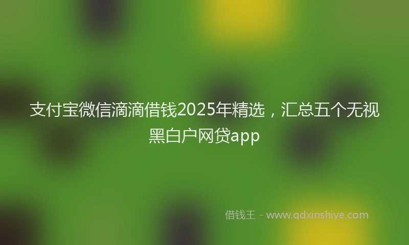 支付宝微信滴滴借钱2025年精选，汇总五个无视黑白户网贷app