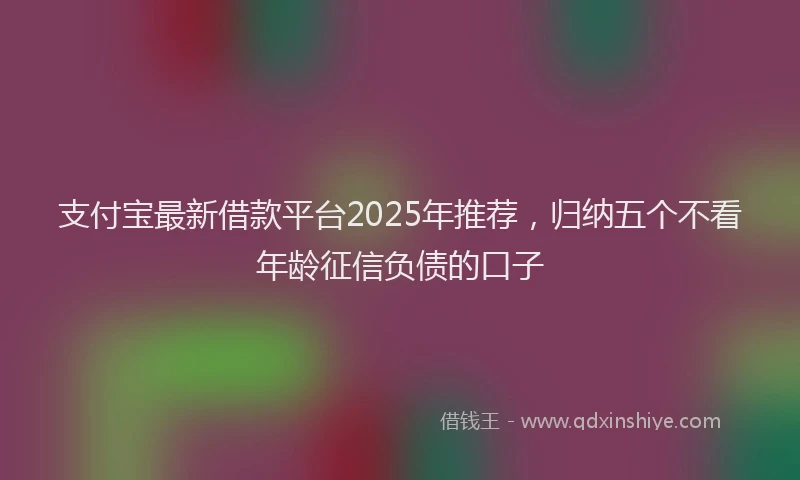 支付宝最新借款平台2025年推荐，归纳五个不看年龄征信负债的口子