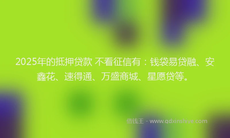 2025年的抵押贷款 不看征信有：钱袋易贷融、安鑫花、速得通、万盛商城、星愿贷等。