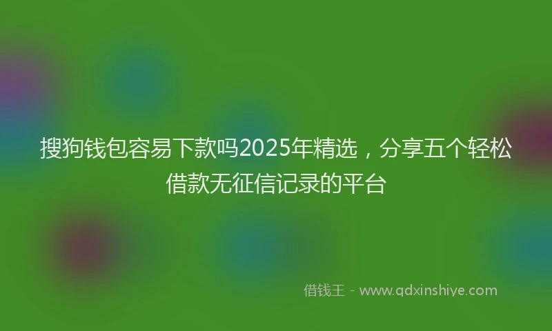 搜狗钱包容易下款吗2025年精选，分享五个轻松借款无征信记录的平台