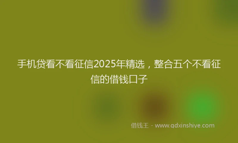 手机贷看不看征信2025年精选，整合五个不看征信的借钱口子