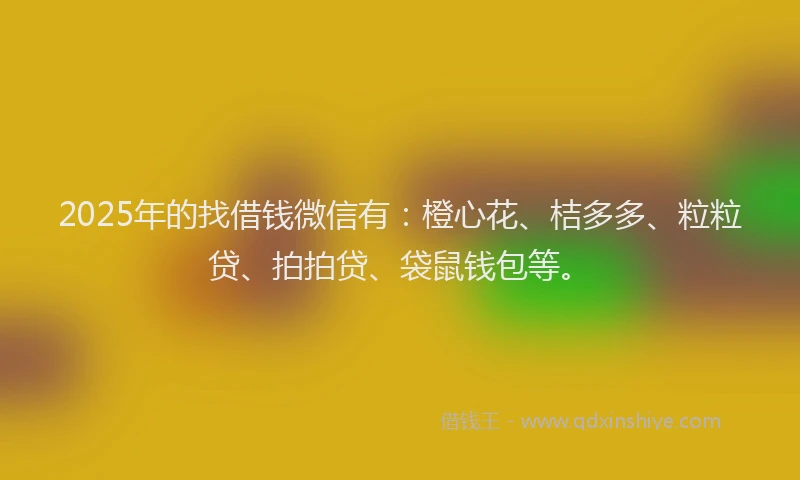 2025年的找借钱微信有：橙心花、桔多多、粒粒贷、拍拍贷、袋鼠钱包等。