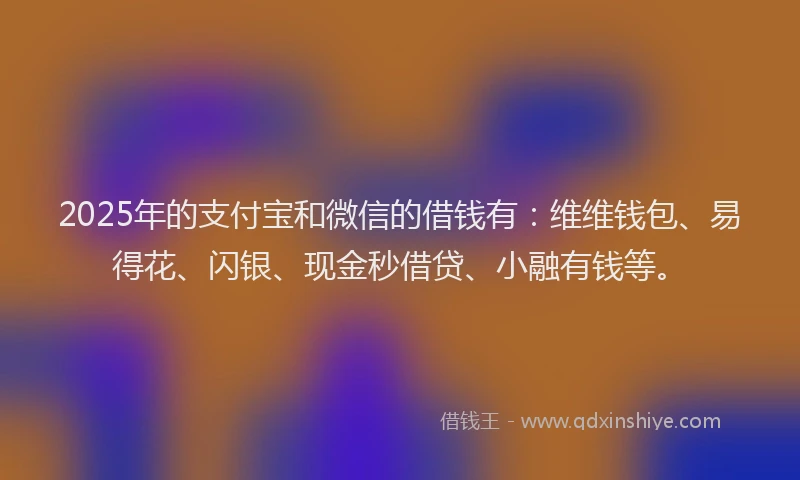 2025年的支付宝和微信的借钱有：维维钱包、易得花、闪银、现金秒借贷、小融有钱等。