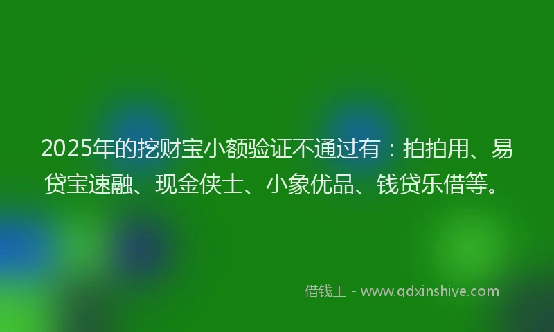 2025年的挖财宝小额验证不通过有：拍拍用、易贷宝速融、现金侠士、小象优品、钱贷乐借等。