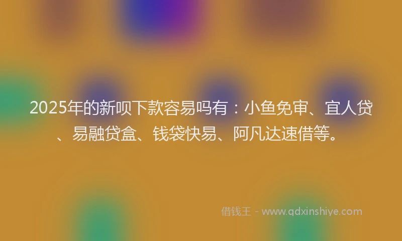 2025年的新呗下款容易吗有：小鱼免审、宜人贷、易融贷盒、钱袋快易、阿凡达速借等。
