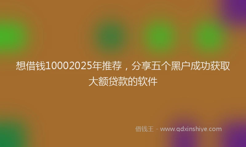 想借钱10002025年推荐，分享五个黑户成功获取大额贷款的软件