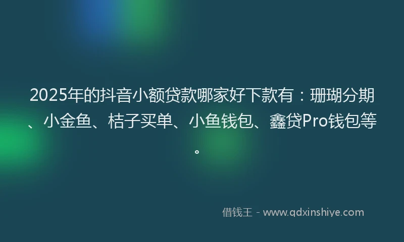 2025年的抖音小额贷款哪家好下款有：珊瑚分期、小金鱼、桔子买单、小鱼钱包、鑫贷Pro钱包等。