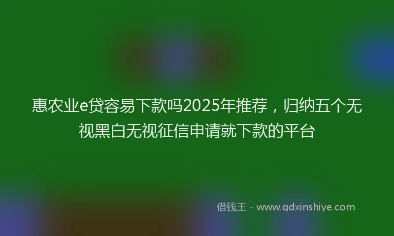 惠农业e贷容易下款吗2025年推荐，归纳五个无视黑白无视征信申请就下款的平台