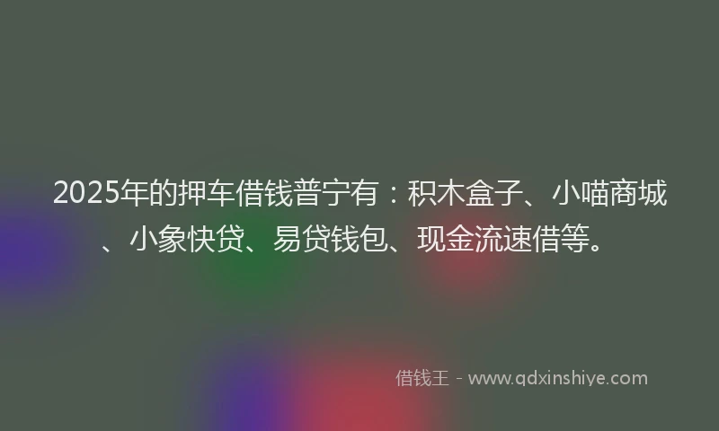 2025年的押车借钱普宁有：积木盒子、小喵商城、小象快贷、易贷钱包、现金流速借等。