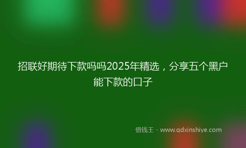 招联好期待下款吗吗2025年精选，分享五个黑户能下款的口子