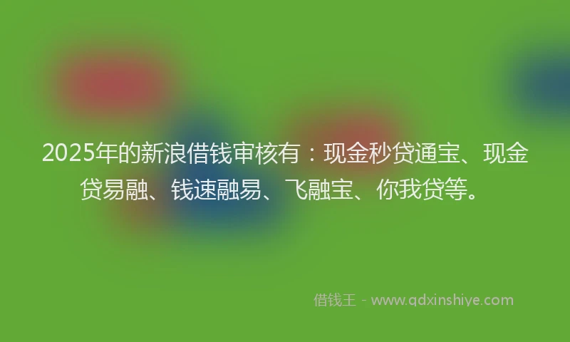 2025年的新浪借钱审核有：现金秒贷通宝、现金贷易融、钱速融易、飞融宝、你我贷等。