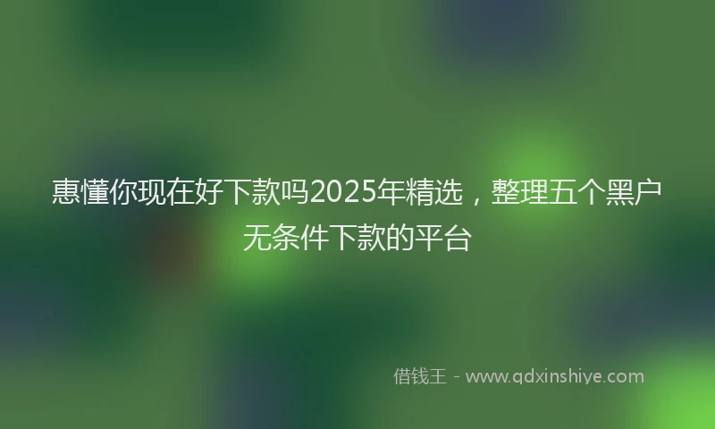 惠懂你现在好下款吗2025年精选，整理五个黑户无条件下款的平台