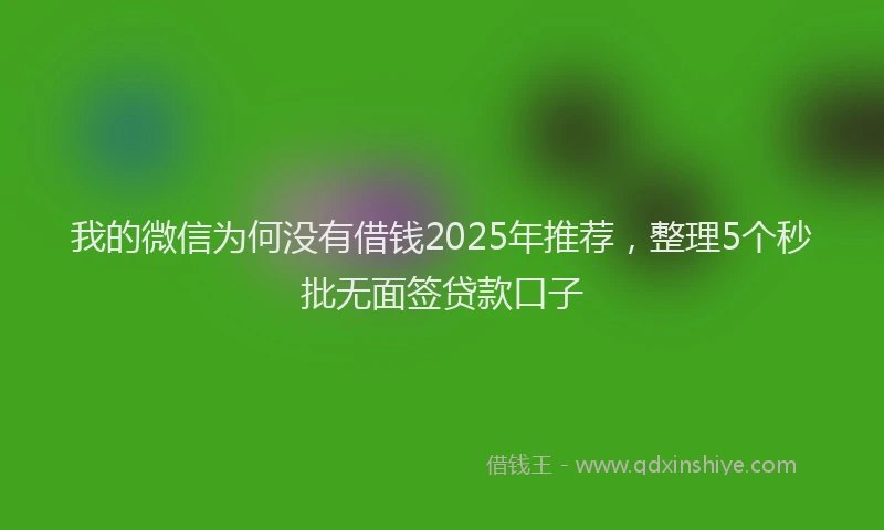 我的微信为何没有借钱2025年推荐，整理5个秒批无面签贷款口子