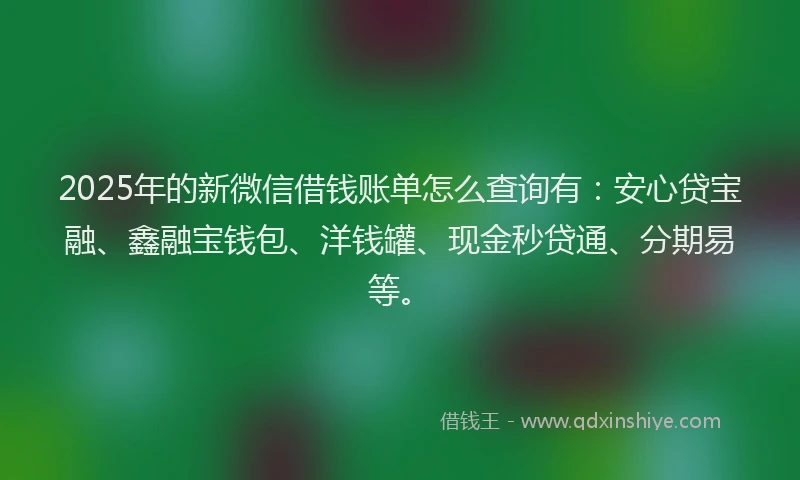 2025年的新微信借钱账单怎么查询有：安心贷宝融、鑫融宝钱包、洋钱罐、现金秒贷通、分期易等。