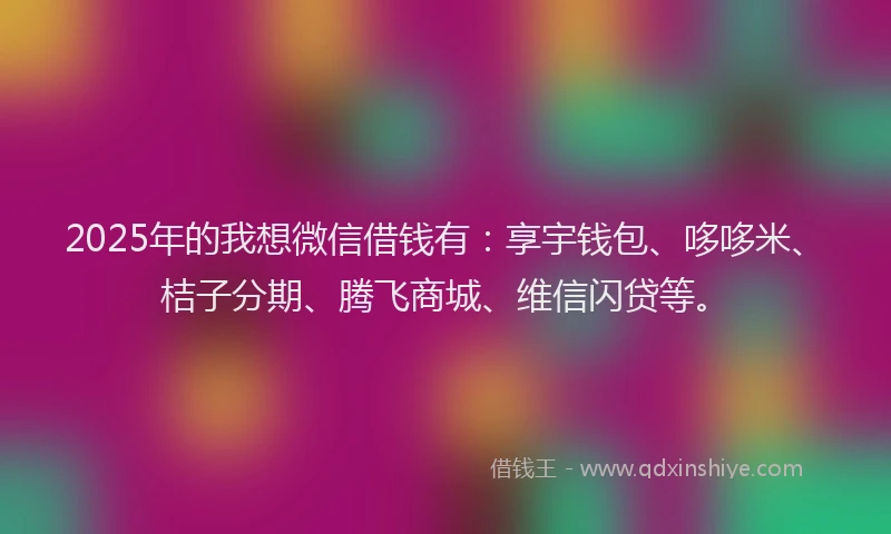 2025年的我想微信借钱有：享宇钱包、哆哆米、桔子分期、腾飞商城、维信闪贷等。